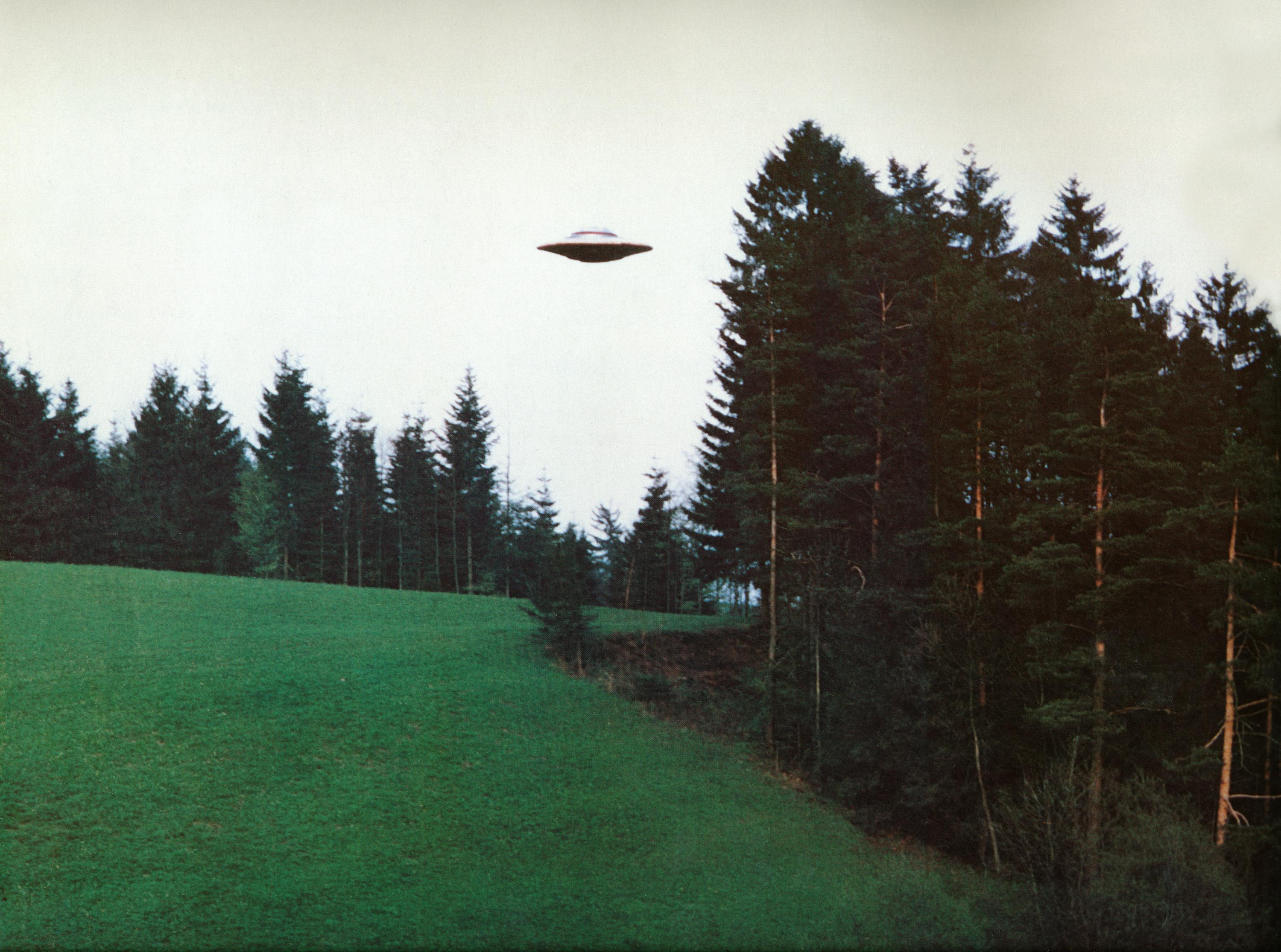 A flying saucer above a quiet forest clearing